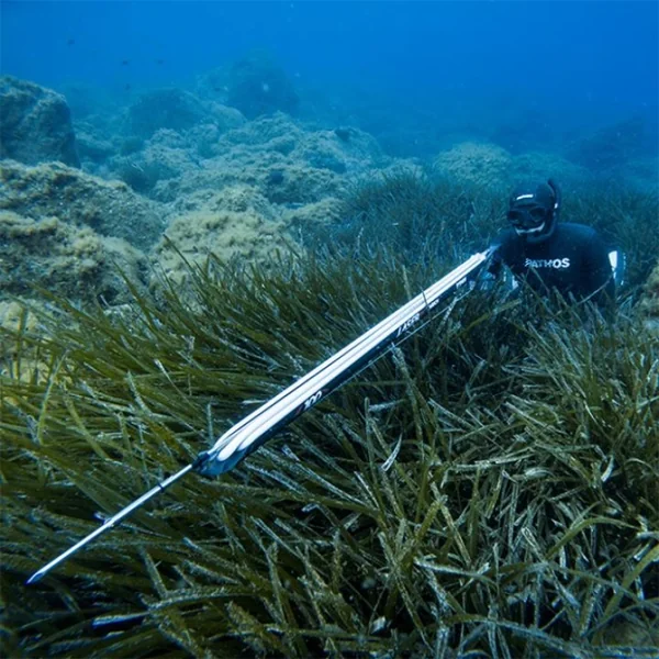 Arbalète fusil harpon chasse sous marine Pathos Laser Evo Carbon 75 cm