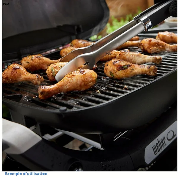 Barbecue Gaz Weber Q 2200N Avec Tablettes Latérales Et Support Compact