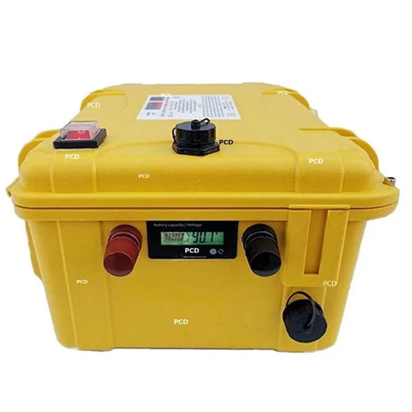 Batterie Valise Lithium Ion Polymère Prolith 24 Volts 80 Ah + Sortie Régulée 12V
