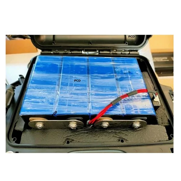 Batterie Valise Lithium Prestige BSR Life Po4 12V 100Amp + 1 Sondeur 20Amp