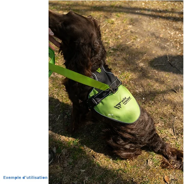 Harnais De Signalisation Wild Tracker X-Color