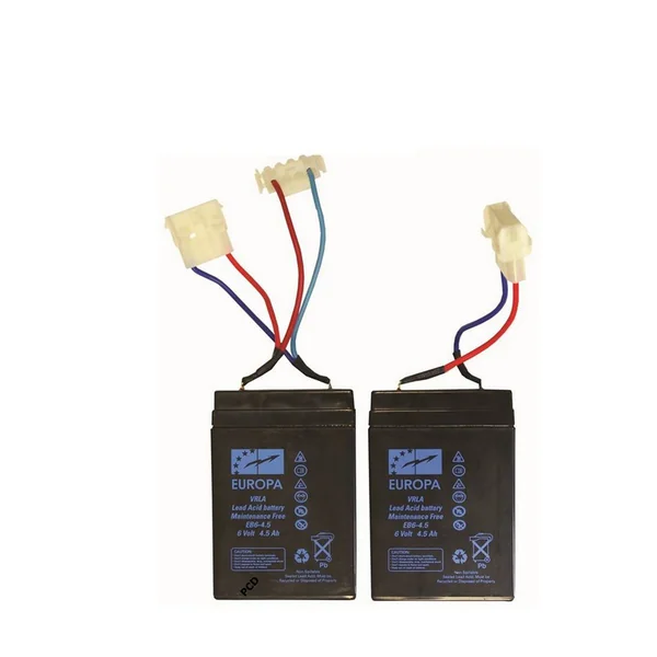 Jeu de 2 Batteries Plomb Pour Bateaux Amorceurs Anatec 6V 4,5A