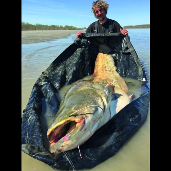 Matelas de réception Black Cat Tapis Hard Core