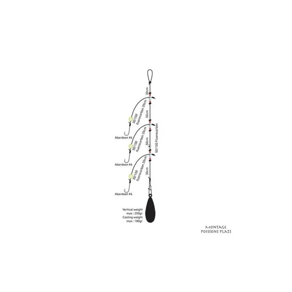 Montage Daiwa D'Rig Surfcasting Poissons Plats