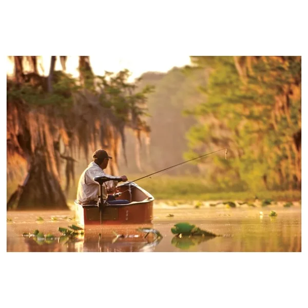 Moteur électrique bateau 12V Minn Kota Endura 30 LBS C2 V2