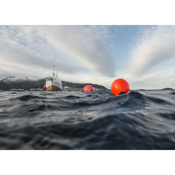 Pare-battage Polyform Norway sphérique bleu 55 X 71 cm A4