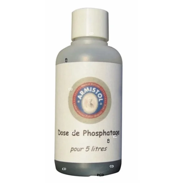 Phosphatage A Diluer Armistol Pour 5 Litres