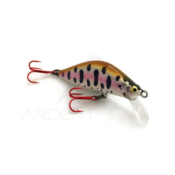 Poisson nageur ITO CRAFT Bowie 42 S Type II