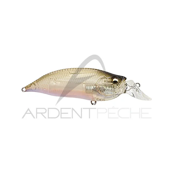 Poisson nageur MEGABASS IxI Shad LBO Type R