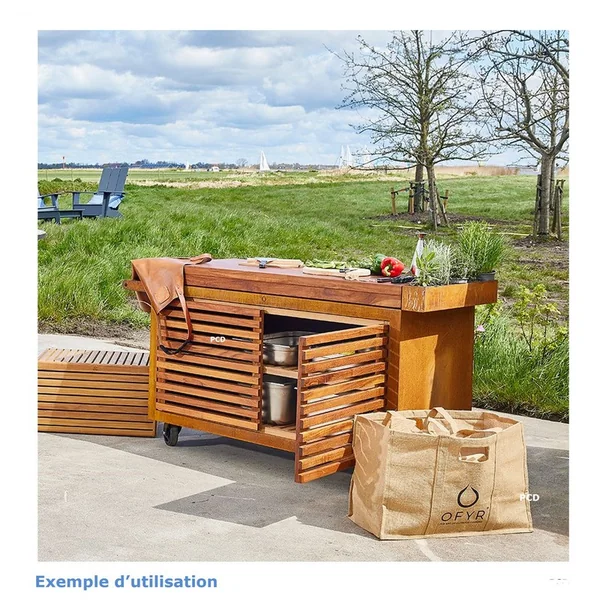 Storage Insert Pro En Bois De Teck Grand Modèle 2 Portes Ofyr